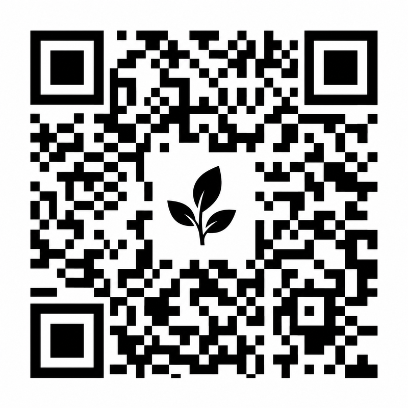 抖荫短视频